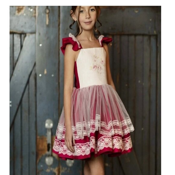 NWT Dollcake Picture Perfect Vintage Floral & Tulle Dress Girls sz 3 - Picture 2 of 4